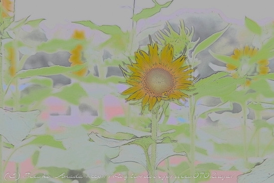 blog-7954