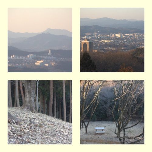 桜山展望台