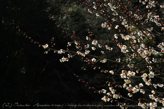9blog-0465-2