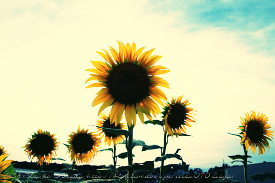 blog--2