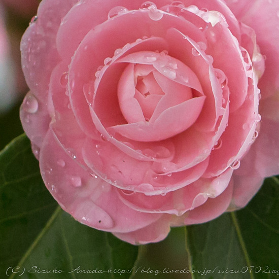 blog-1414-2