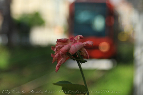 blog-8870