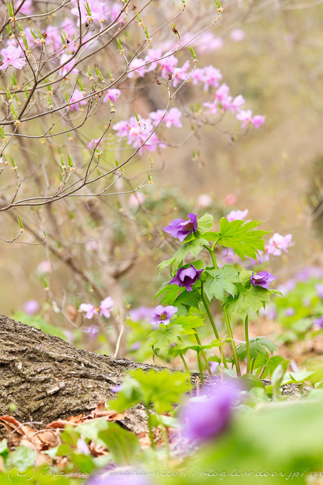 blog-2960