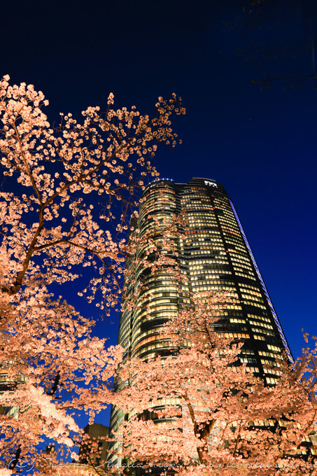 blog--4