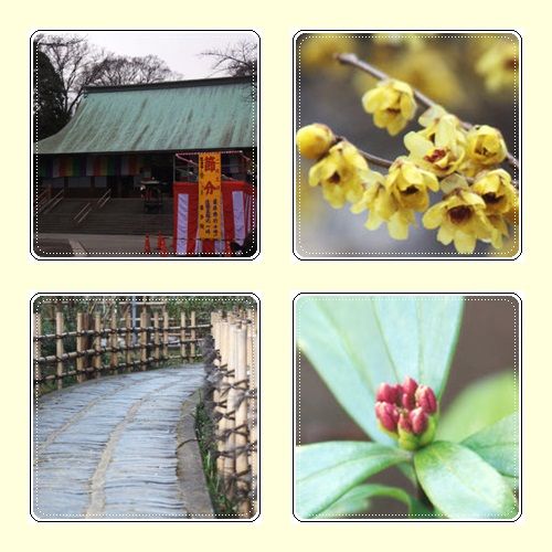 喜多院 中院