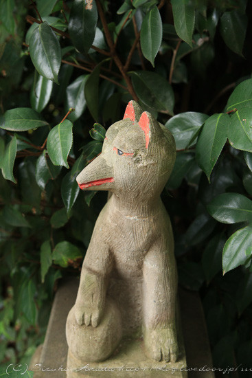 blog--3