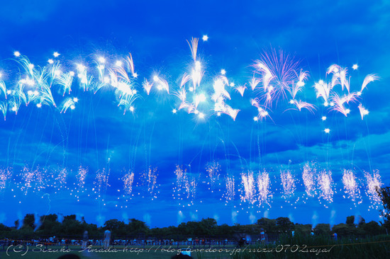 blog-8390