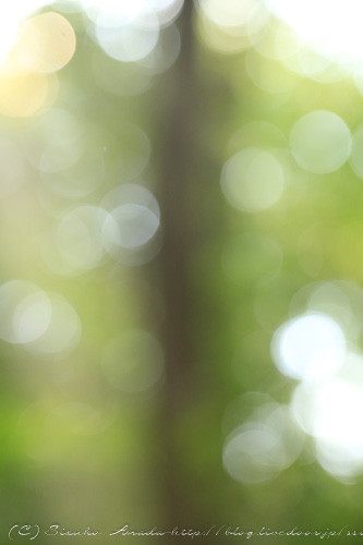 blog-6169