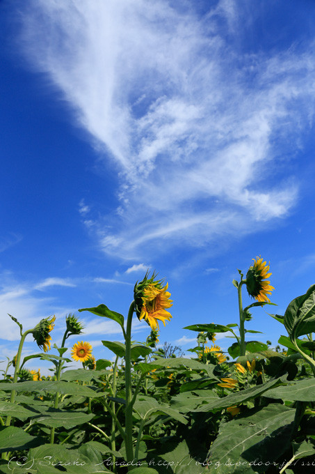 blog-5984