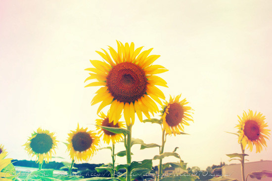 blog-