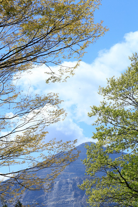 blog-3146