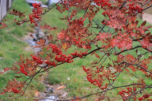 30-blog-9800