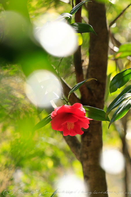 blog--2