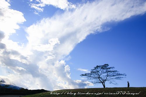 s_MG_0277 写真展用Edit-Edit