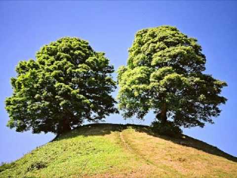 長門