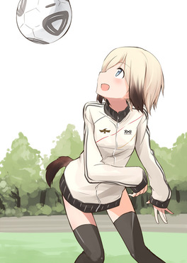 参考画像
