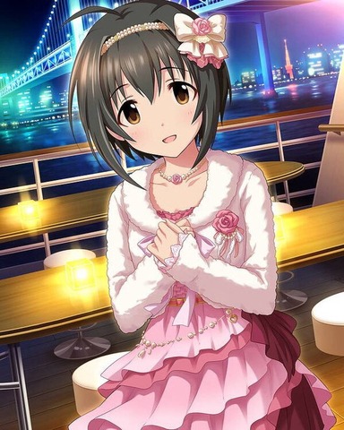 小日向美穂「こひなたぬき」