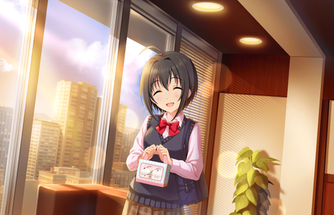 小日向美穂「プロデューサーさんinプロデューサーくん」