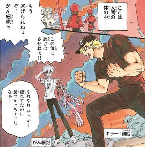 saibou