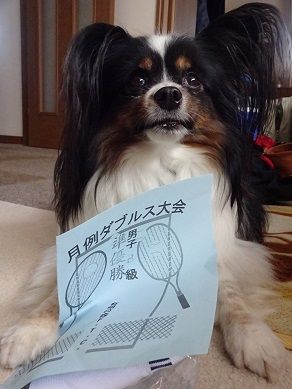 wasabi20180901