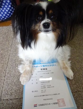 wasabi20180501