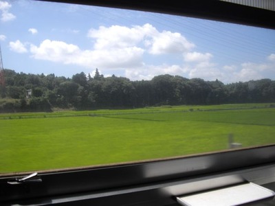 IMGP1037