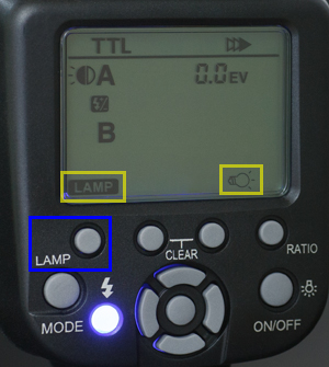 10032