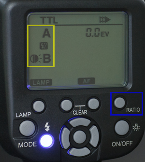 10012