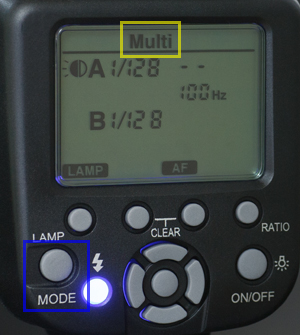 10022