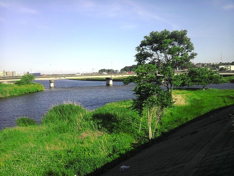 IMAG0429