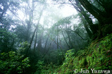 b0520879.jpg