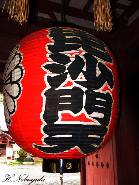 P1150403