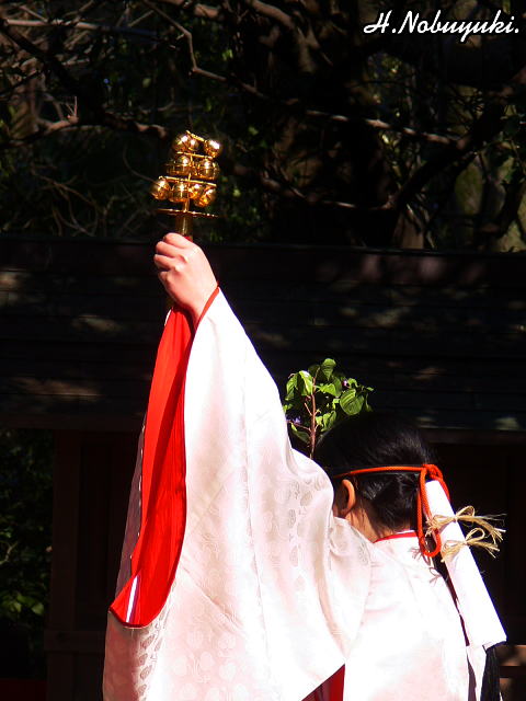 P1190792