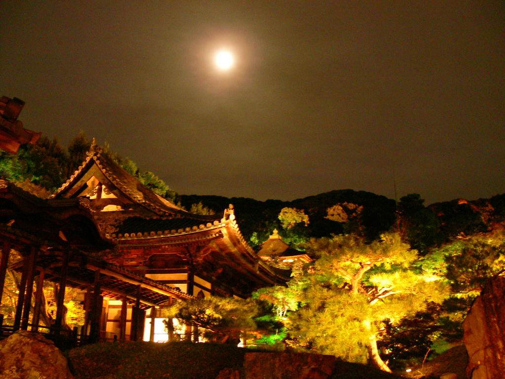 おぼろ月夜の高台寺