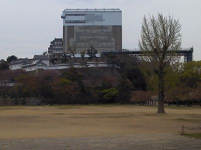 P1000130-1