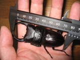 35de14c6.JPG