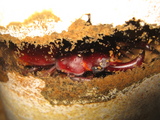 3f389023.JPG