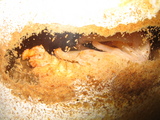 8c390271.JPG