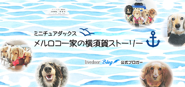 メルロコ一家の横須賀ストーリー