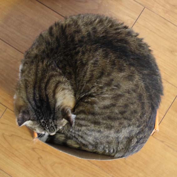 画像3 画像3
