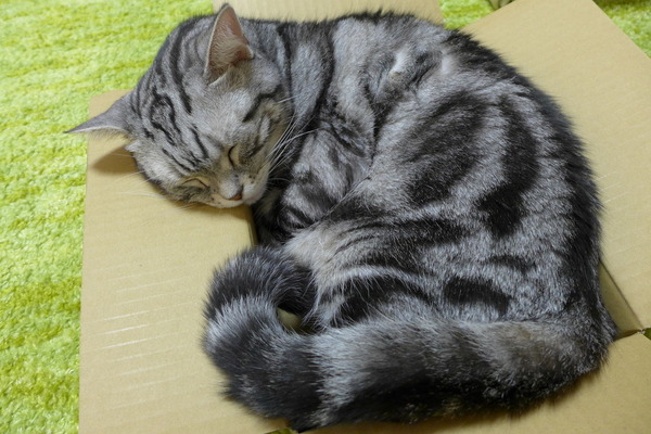 画像8 画像8