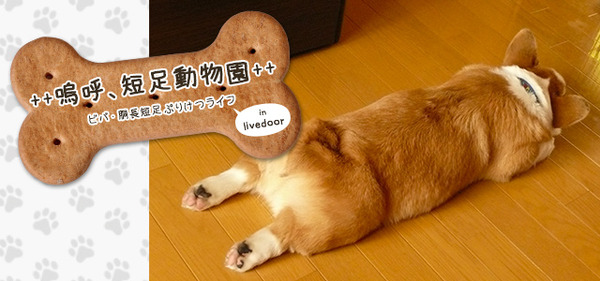 3_tansoku