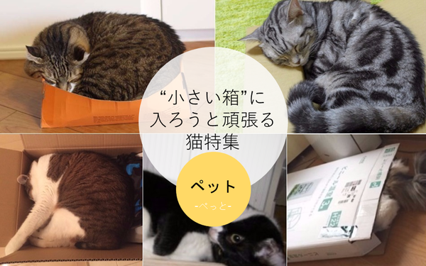 画像1 画像1
