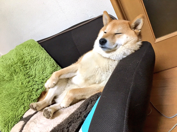 ソファ