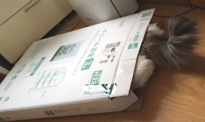 画像6 画像6