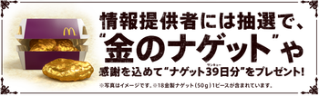 dandydehanai_camp_info