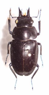 df5c2b52-s.jpg