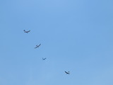 IMG_4595