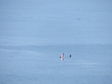 IMG_0038
