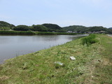 IMG_4445